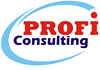 PROFI-CONSULTING, ������������� ��������