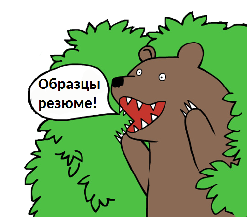 bear.png