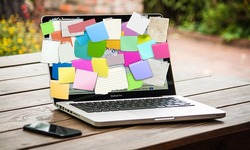 Работа и образование в сфере IT: в помощь молодому специалисту